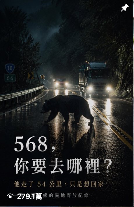 568你要去哪裡,台灣黑熊野放紀錄