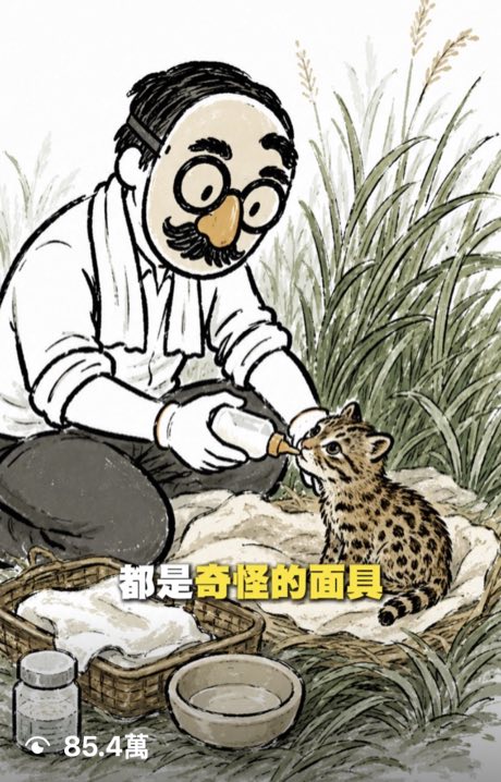 石虎豆棗野放紀錄